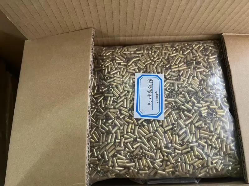 বাংলাদেশে একটি চালান