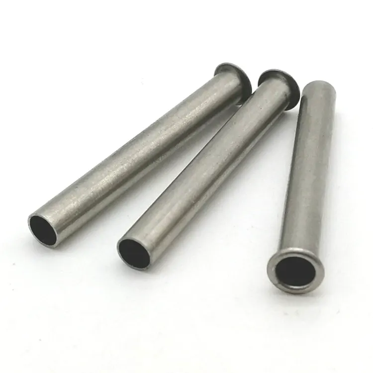 স্টেইনলেস স্টিল ফাঁকা রিভেটস